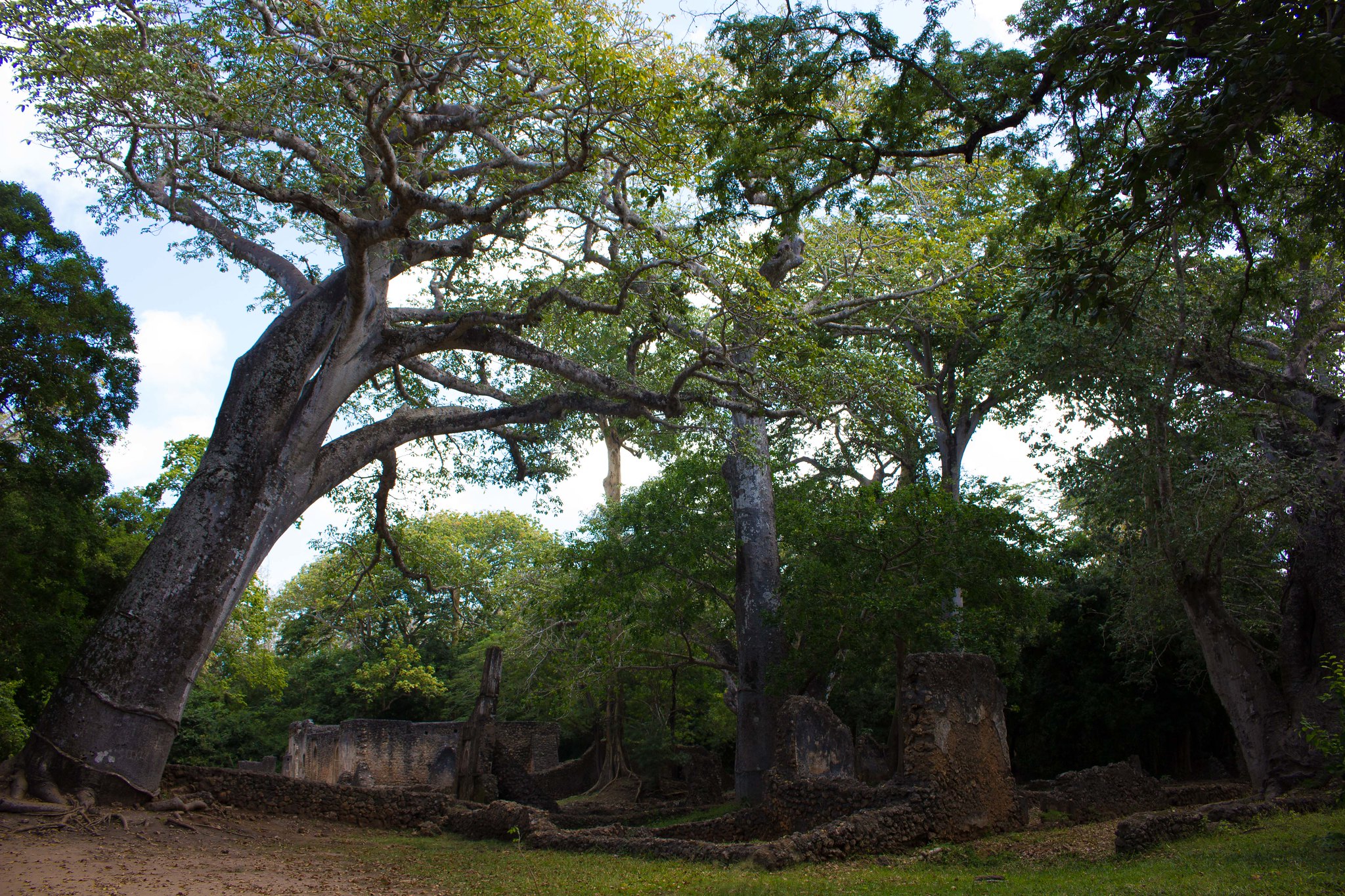 Rovine di Gede