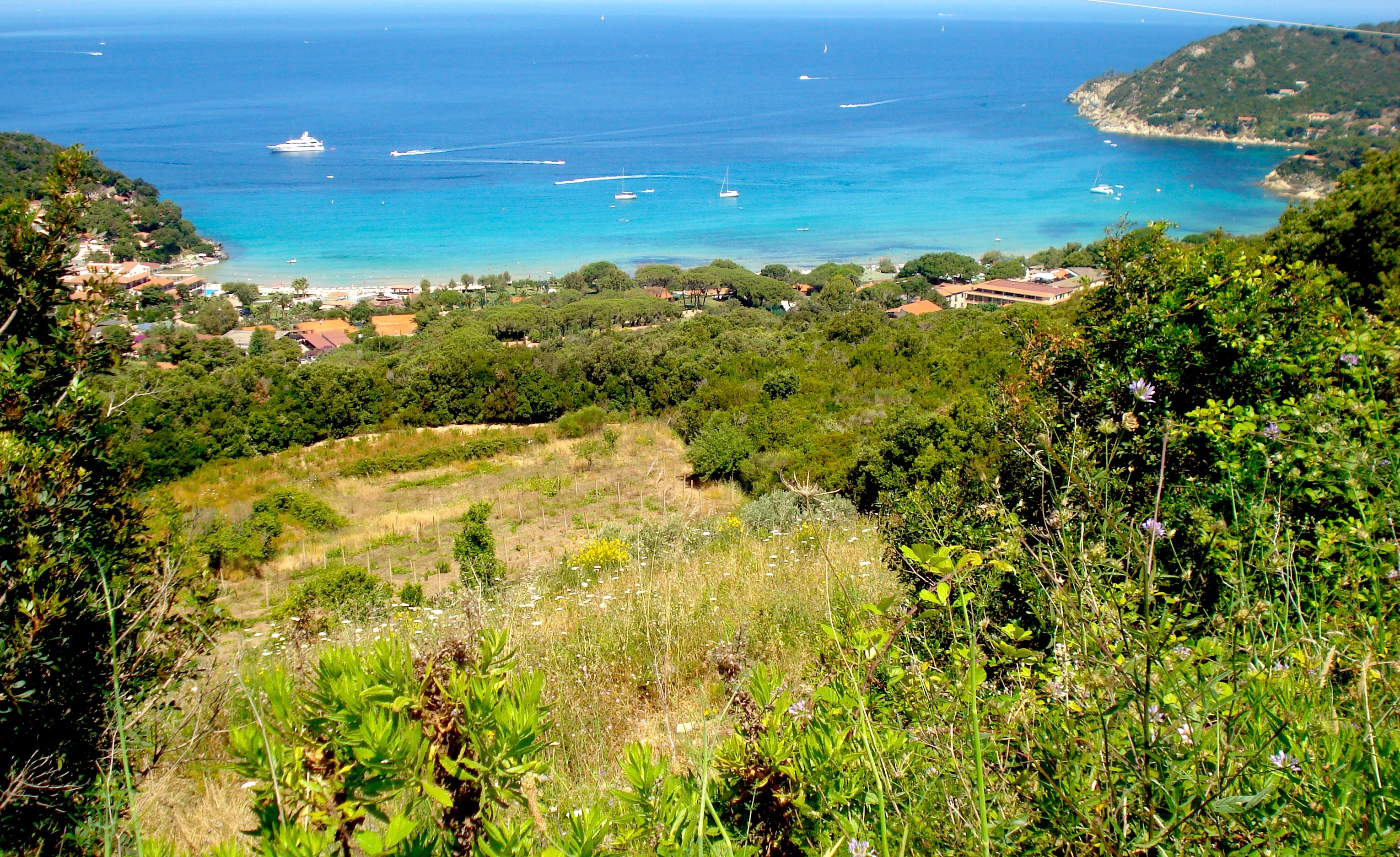 Ferragosto 2015, offerte last minute agriturismo Isola d'Elba