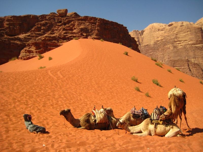 1133566395 la Giordania wadi rum