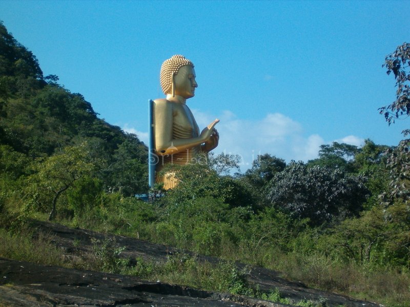 HPIM0056