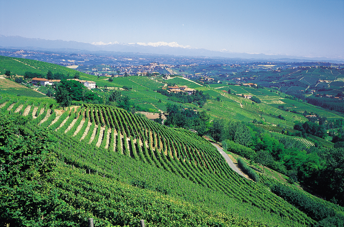 Idee soggiorno enogastronomico nel Monferrato