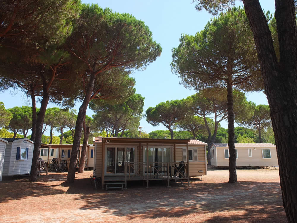 Località camping con cane Vibo Valentia
