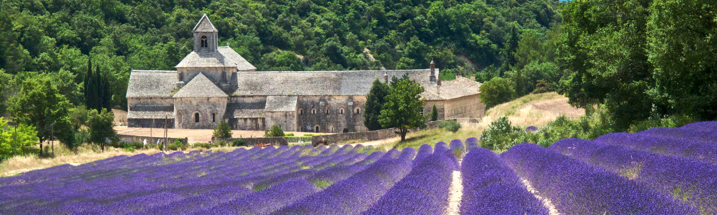 provence