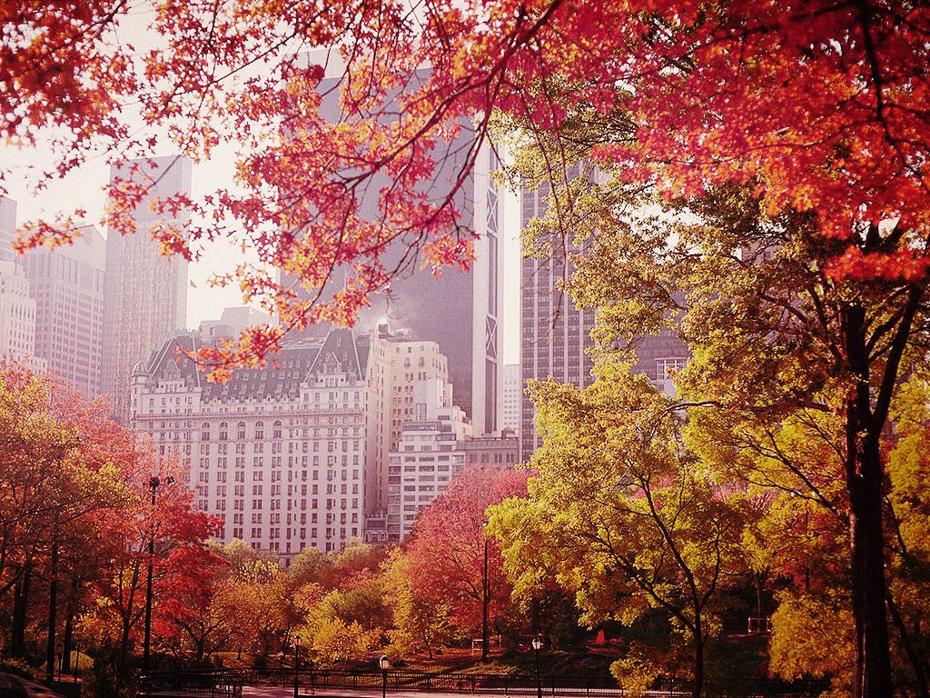 Cinque città da visitare in autunno