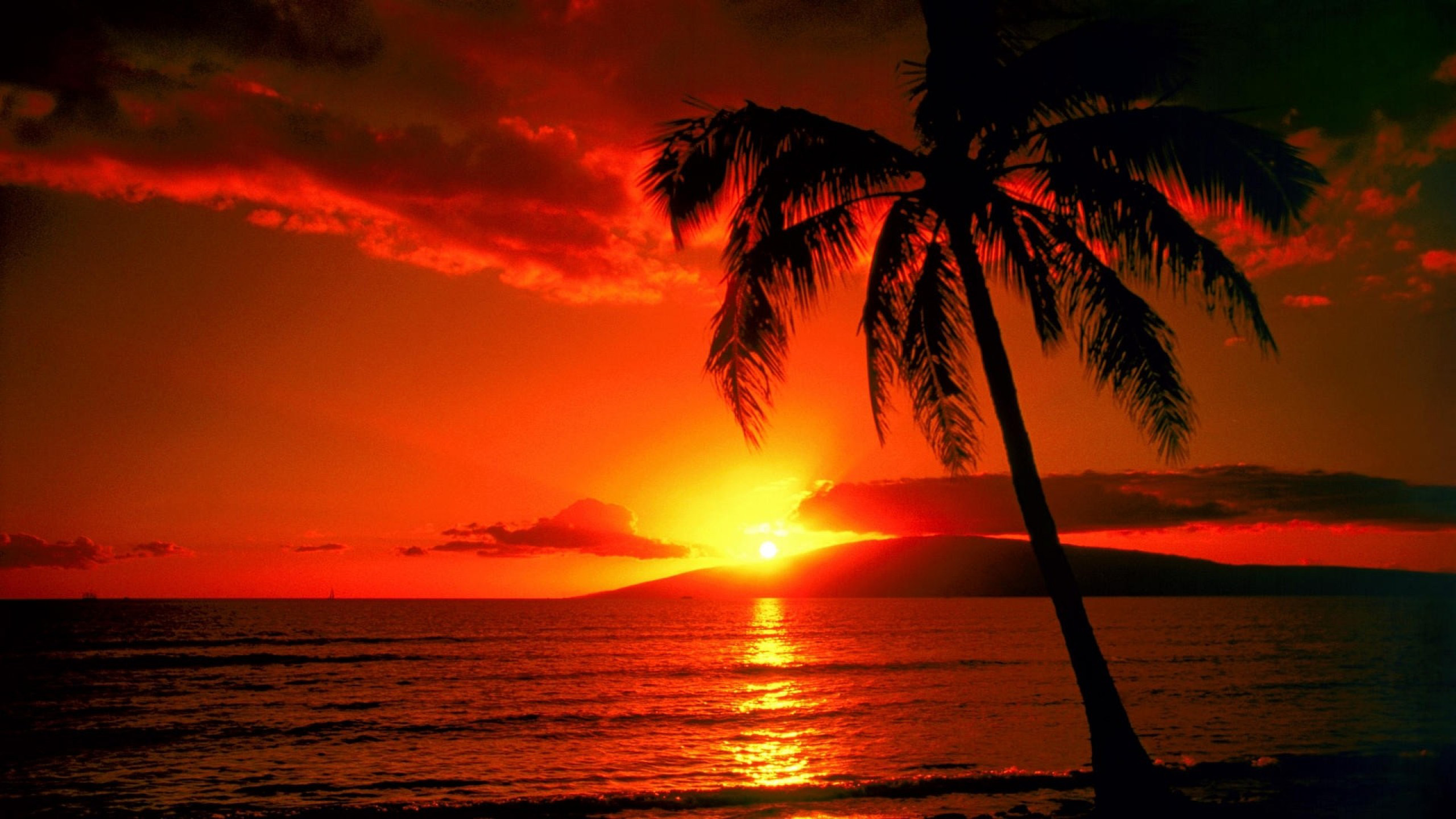 Vaccinazioni richieste per le Hawaii