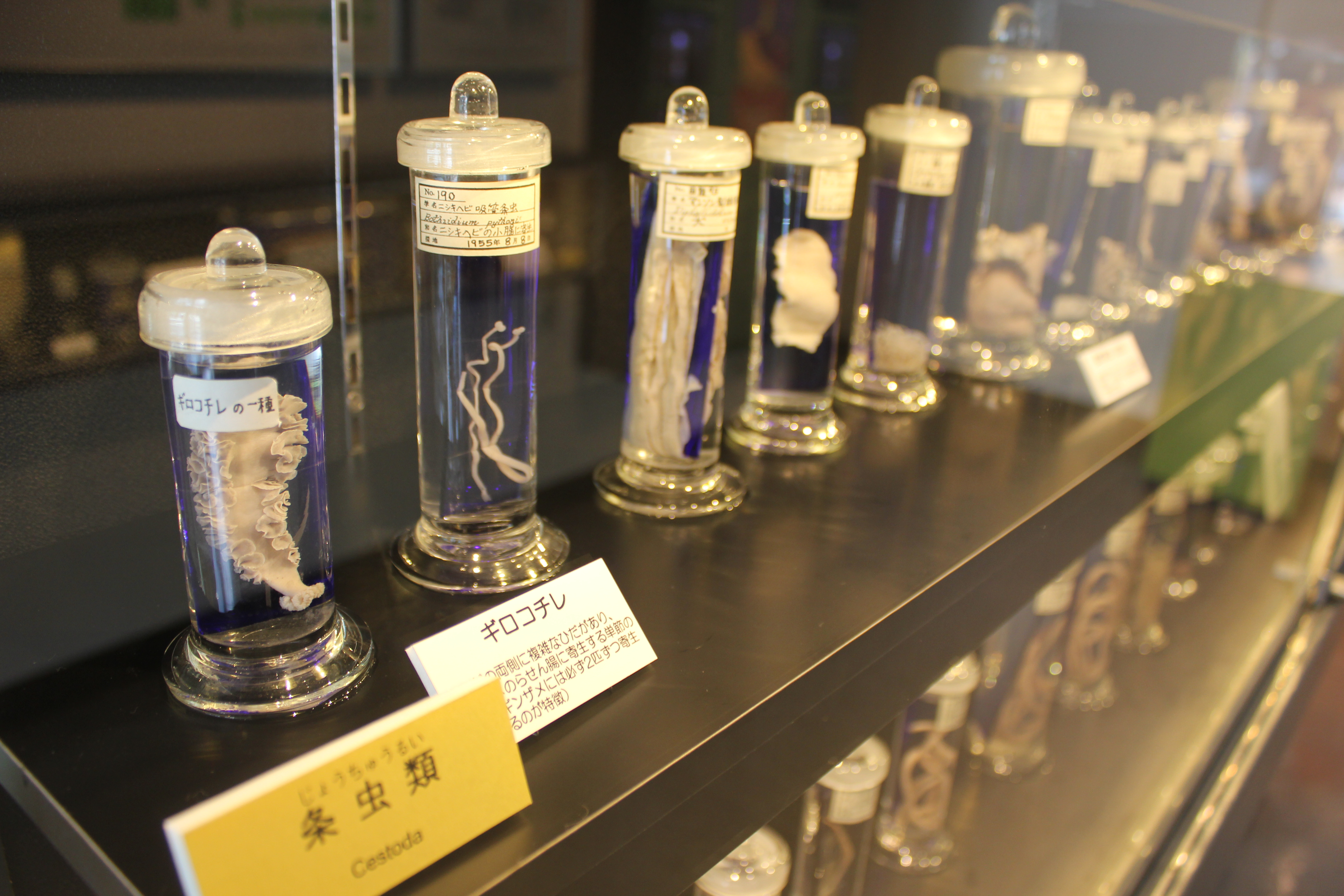 Classifica 10 musei più strani al mondo