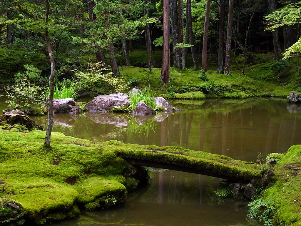 I 10 giardini zen più belli del Giappone