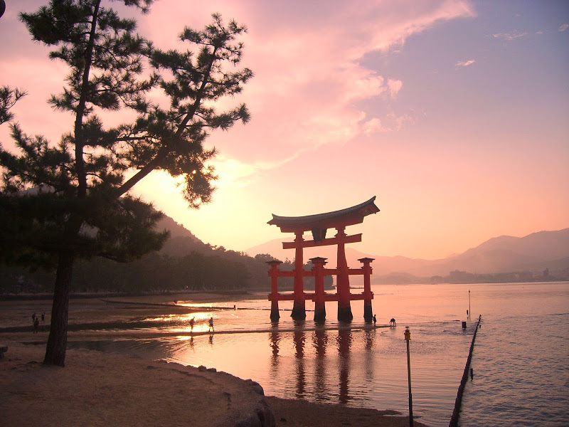 Cinque cose da visitare a Miyajima in Giappone