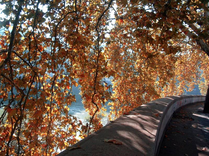 10 cose da fare a Roma in autunno