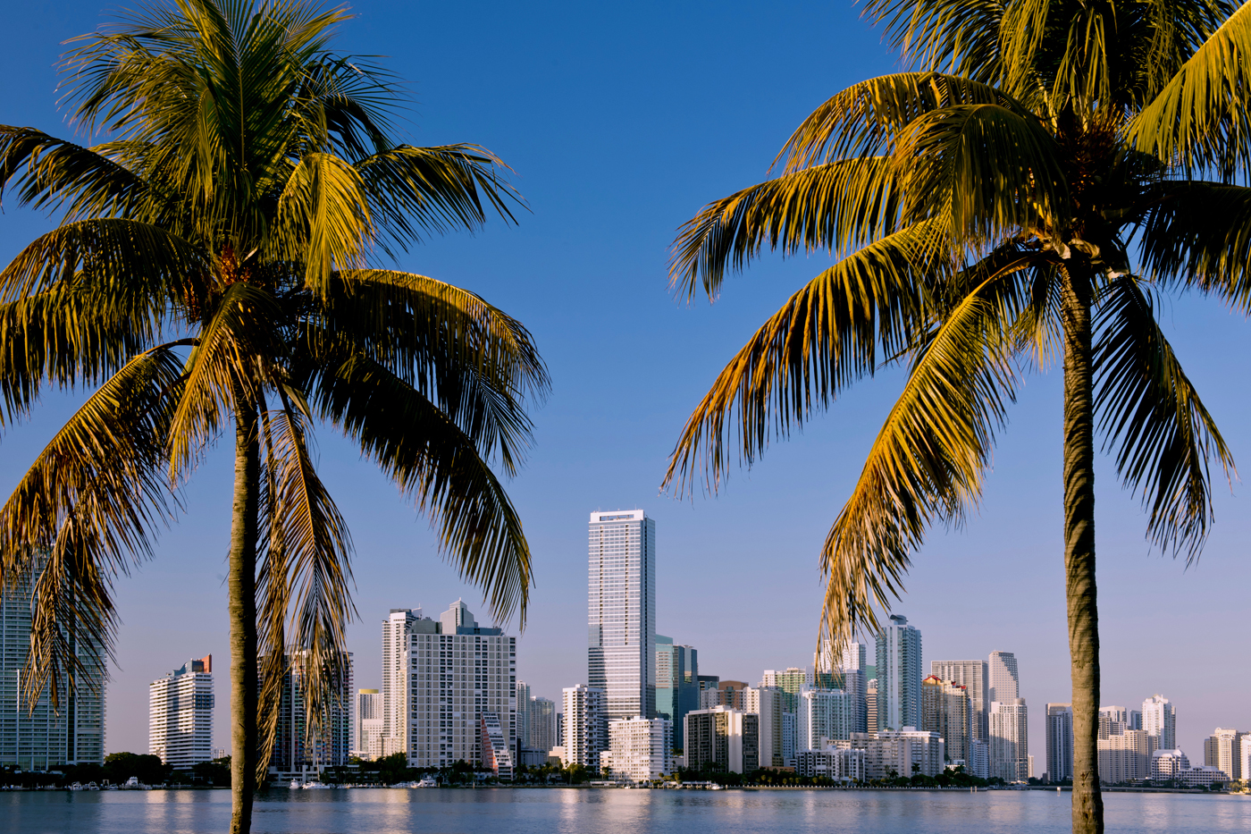 Che temperature Miami a dicembre