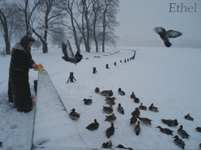 10 viaggi economici in inverno