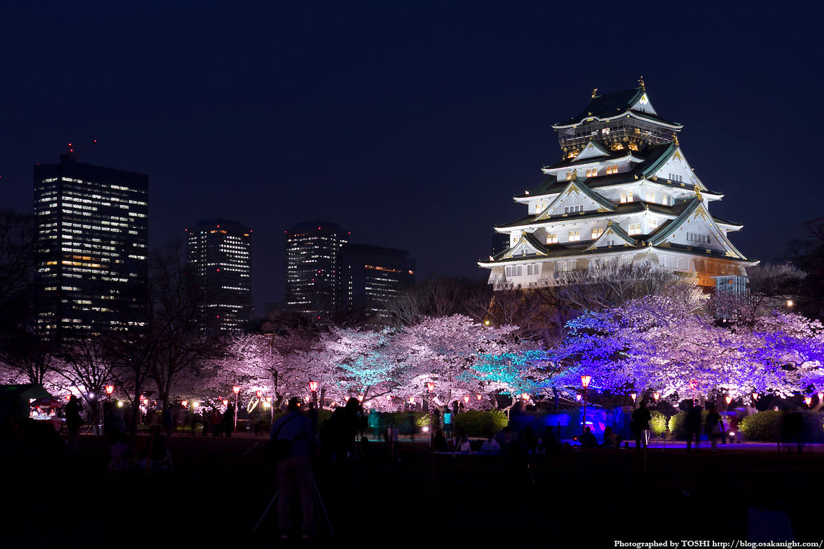Qual è la storia del castello di Osaka