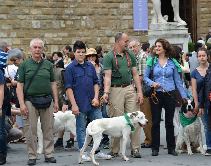 Cani a Firenze