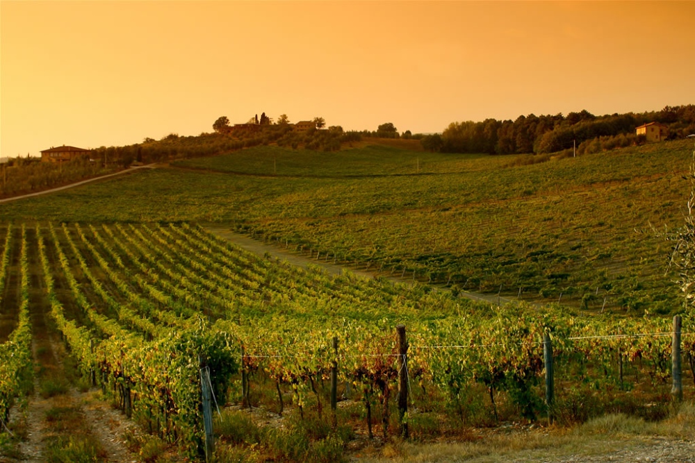 Toscana