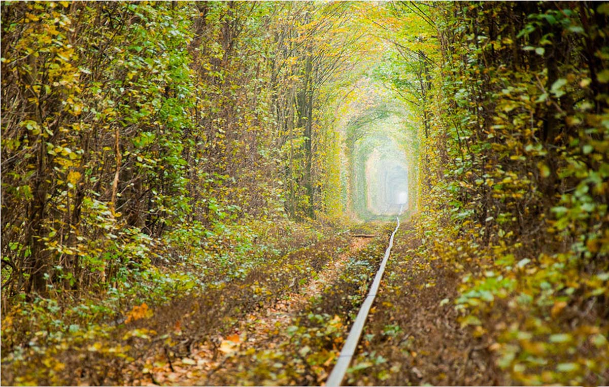 Dove si trova il tunnel dell'amore in Ucraina