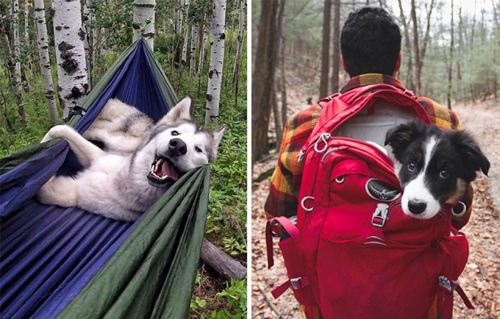 Località camping con cane Chieti