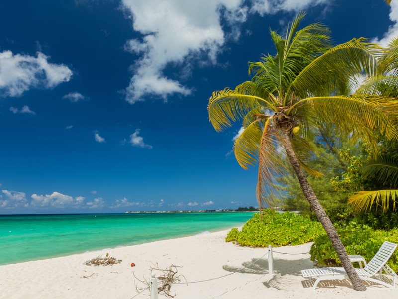 10 crociere ai tropici Capodanno