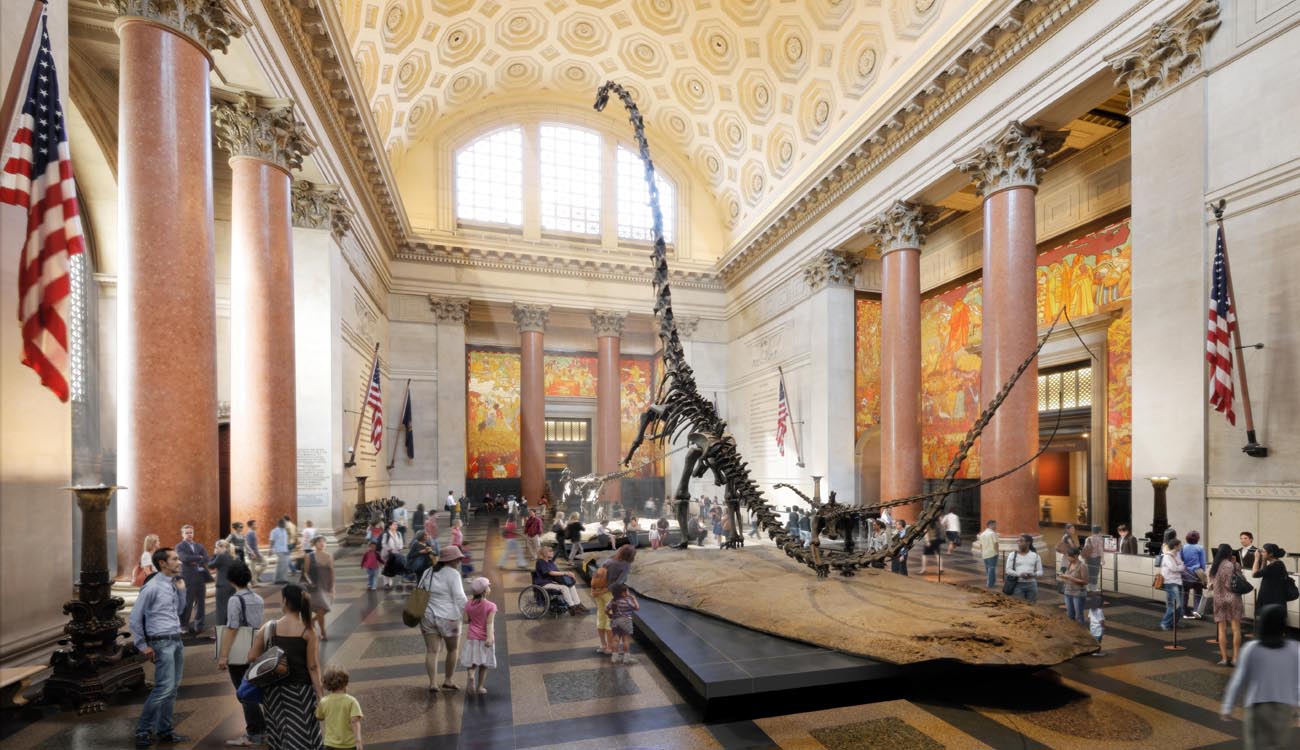 Cinque musei da visitare a New York