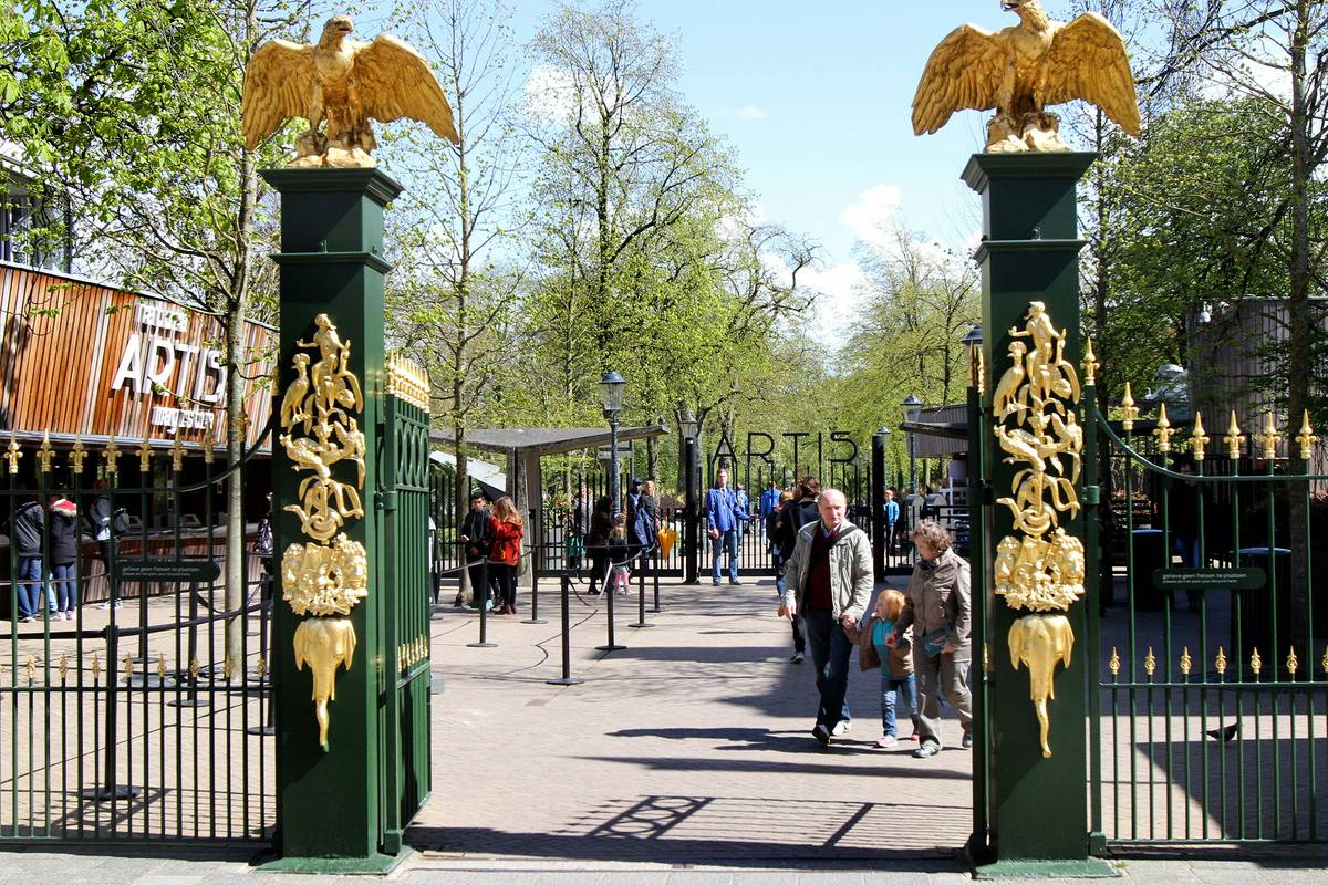 Orari e prezzi biglietti Artis Zoo di Amsterdam