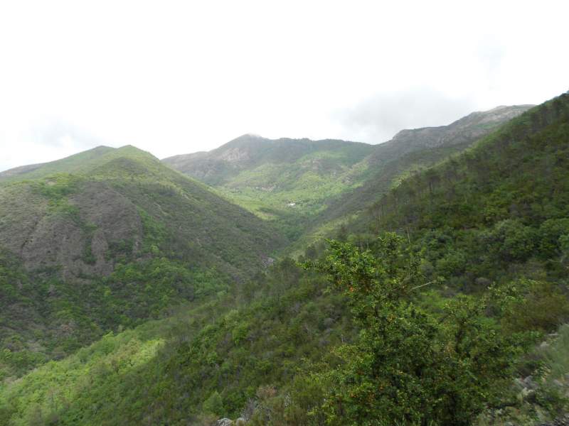 Offerte Capodanno agriturismo in Liguria
