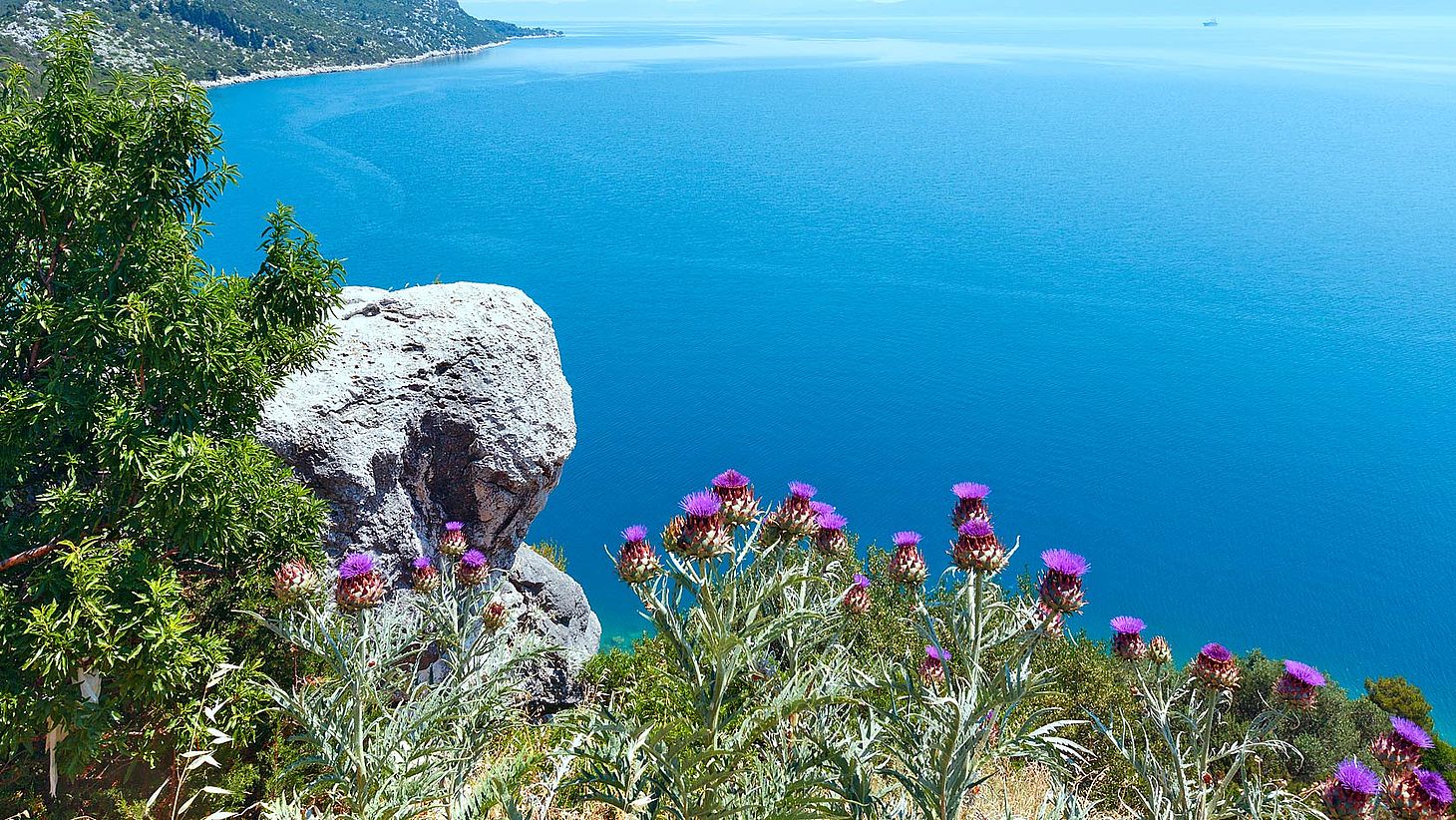 Offerte Epifania Lago di Garda