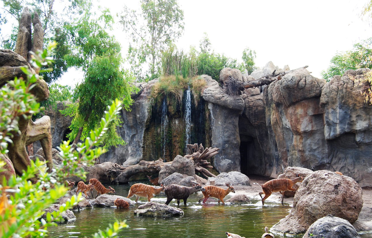 Bioparc Valencia