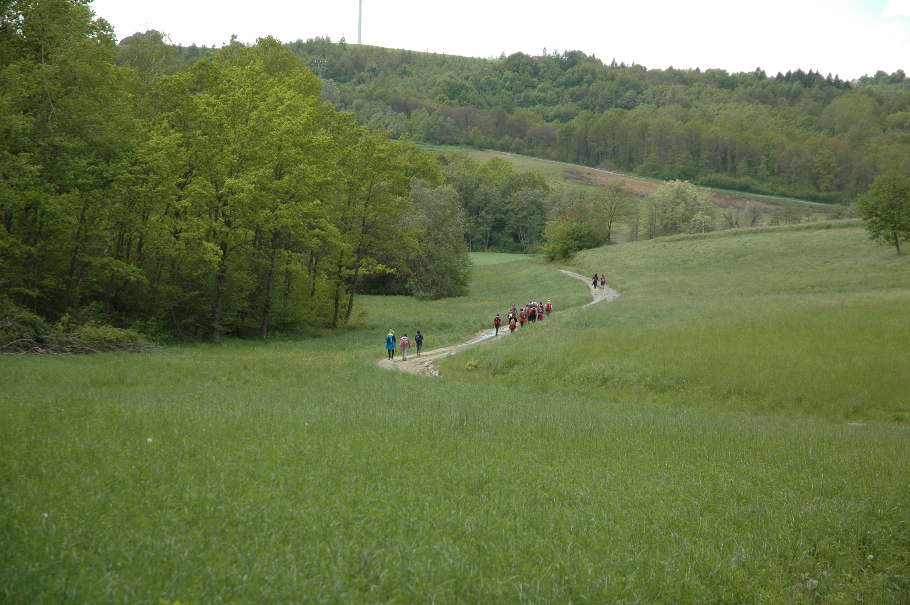 Strada Romantica Langhe e Roero