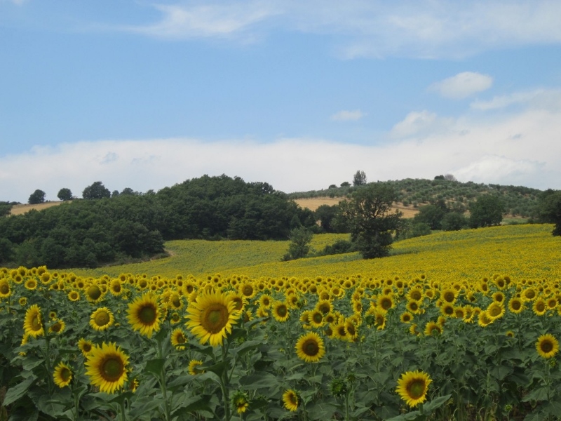 Offerte San Valentino agriturismo in Emilia Romagna