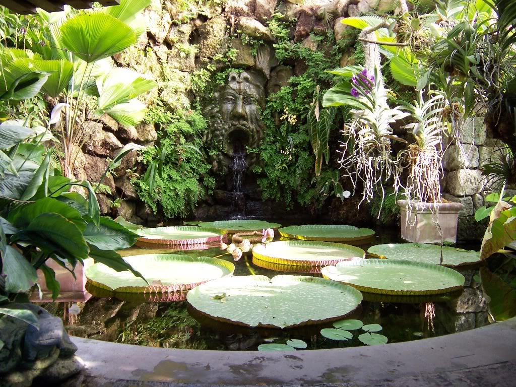 Giardini La Mortella Ischia