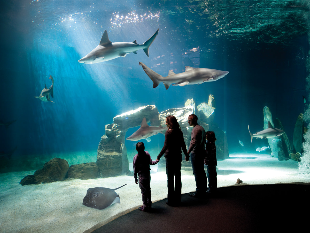 Acquario Genova