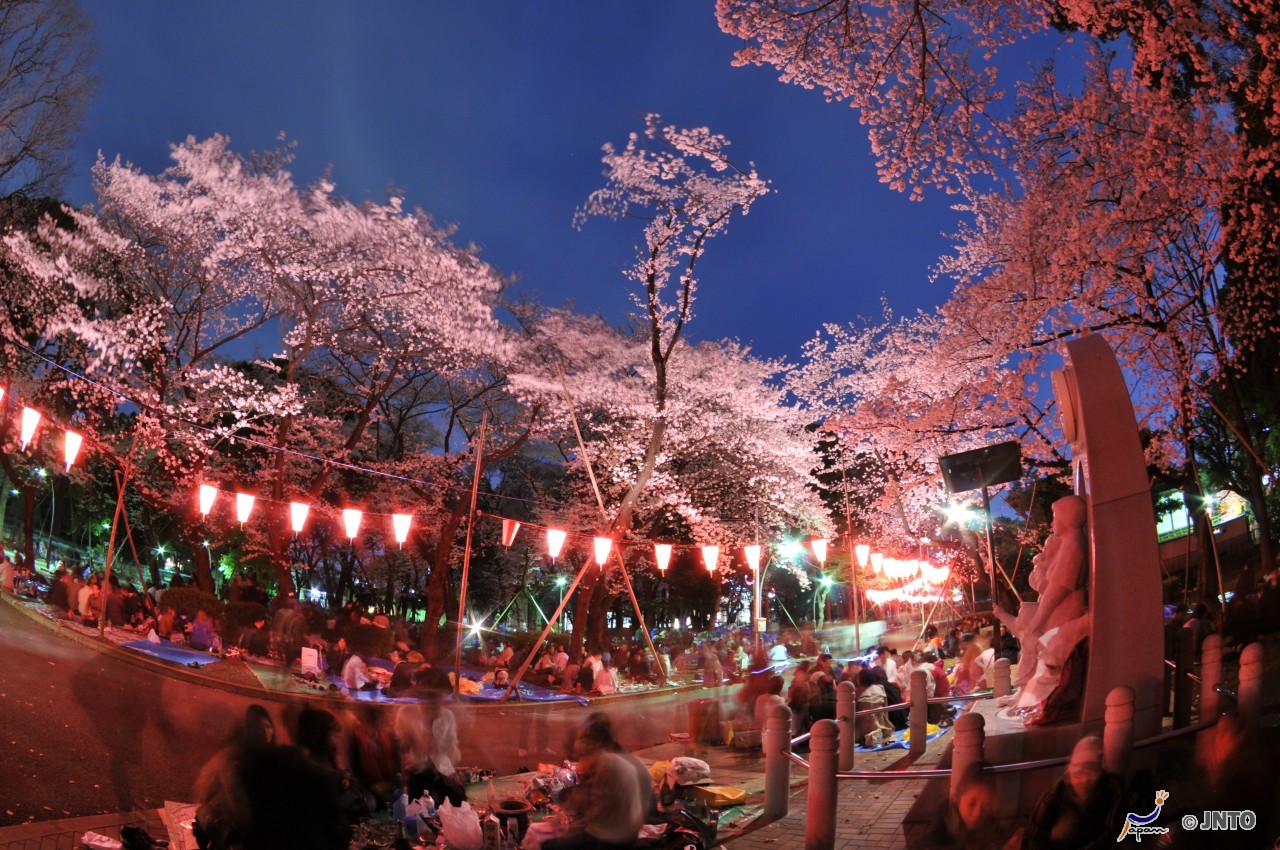 Che cosa fare a Tokyo a Pasqua