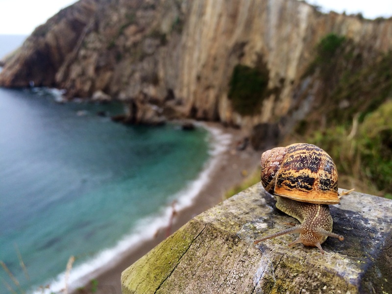 Che cosa vedere in Cantabria in Spagna