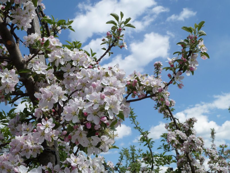 Come trascorrere Pasqua in Trentino