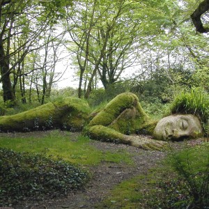 lost gardens of heligan