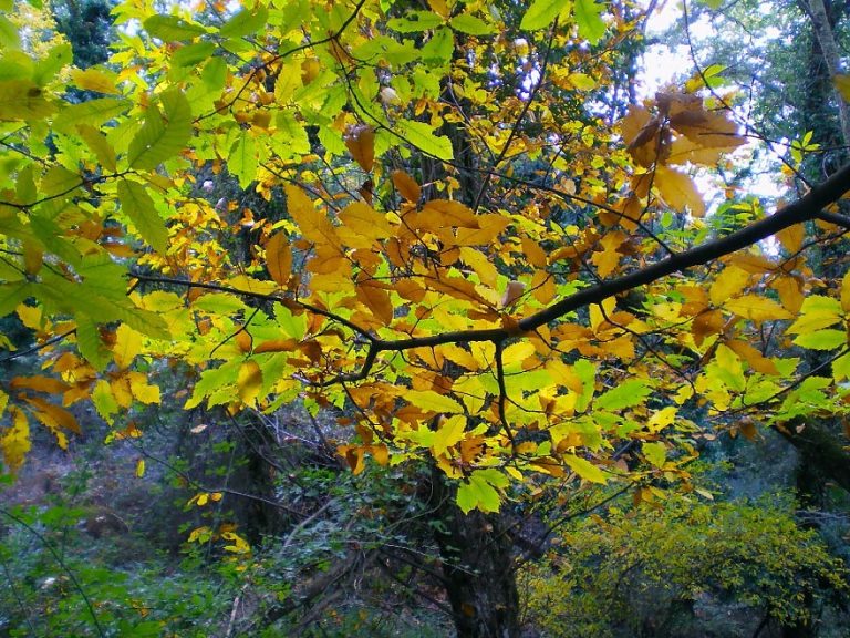 Sicilia a Novembre