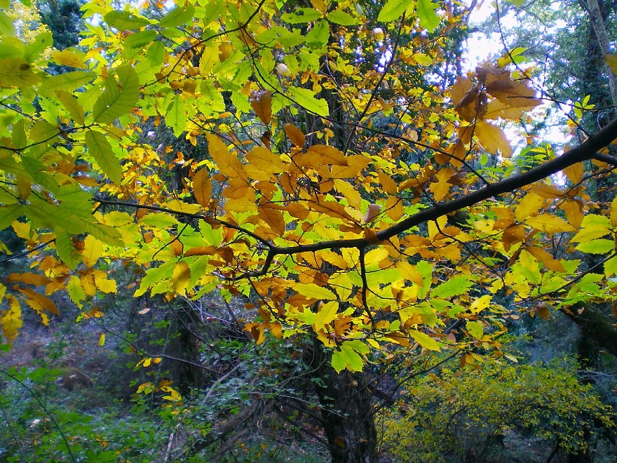 Sicilia a Novembre