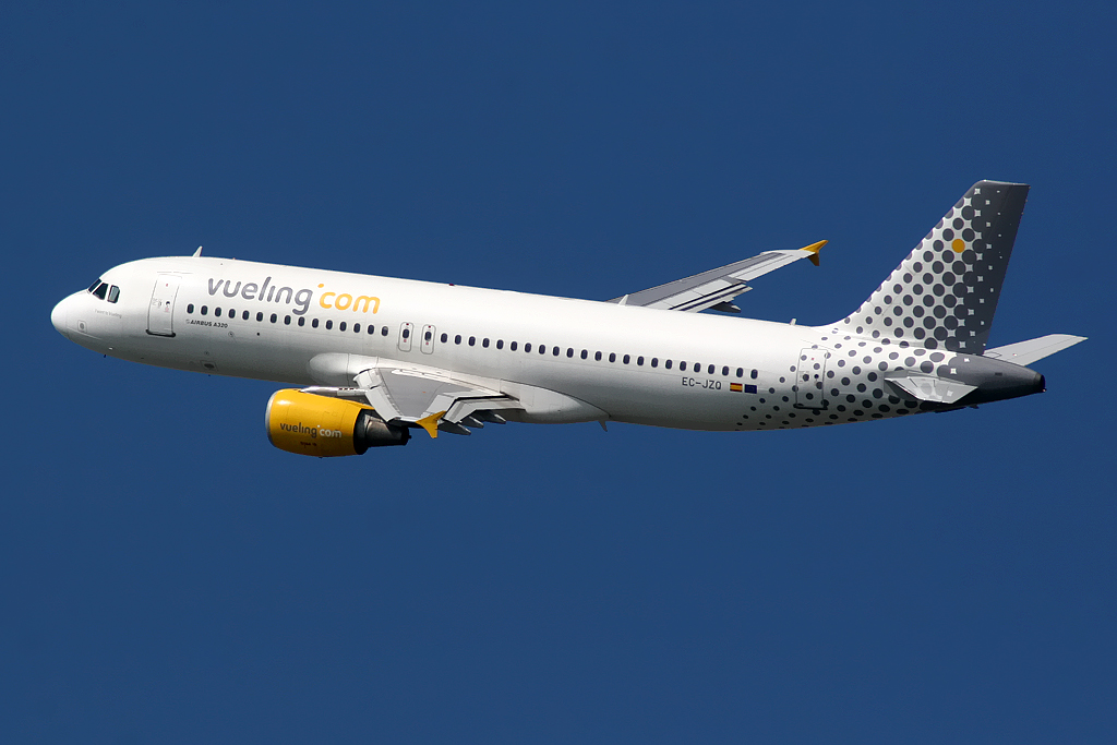 Come inserire bagagli in Vueling check in online