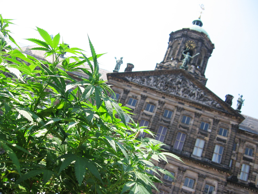Quali sono migliori Coffeeshop amsterdam quartiere a luci rosse