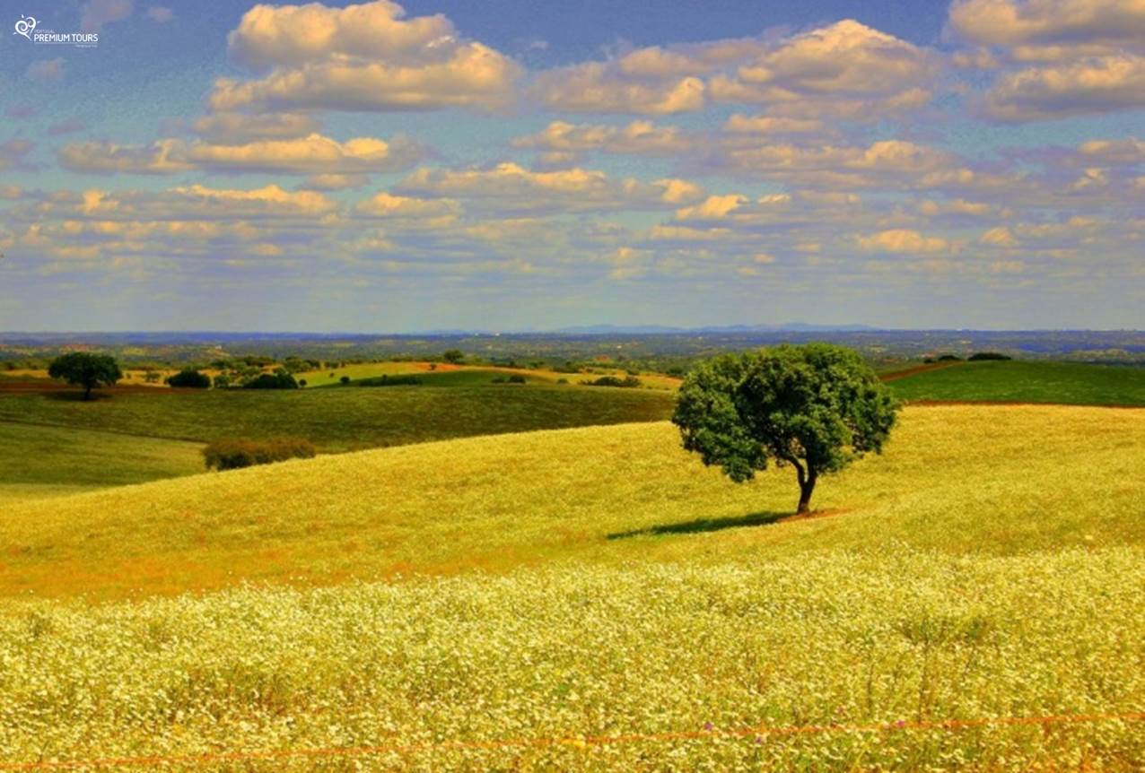 Alentejo2