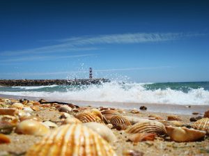 faro algarve