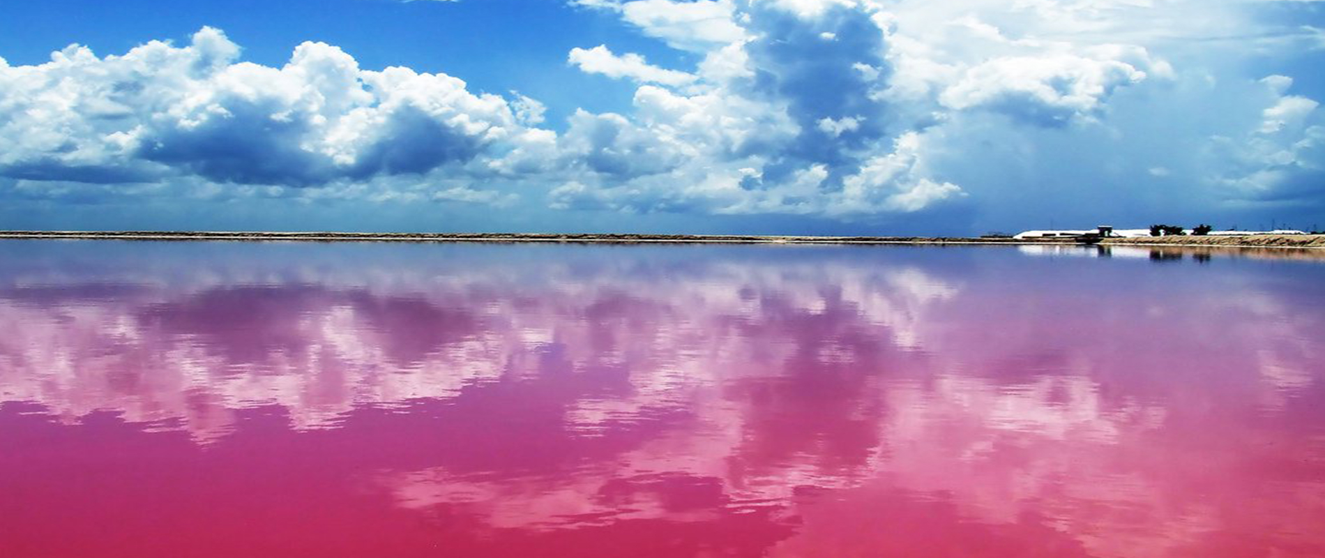 Las Coloradas Yucatan Mexico SLIDER 1