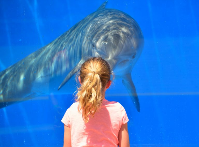 acquario di genova
