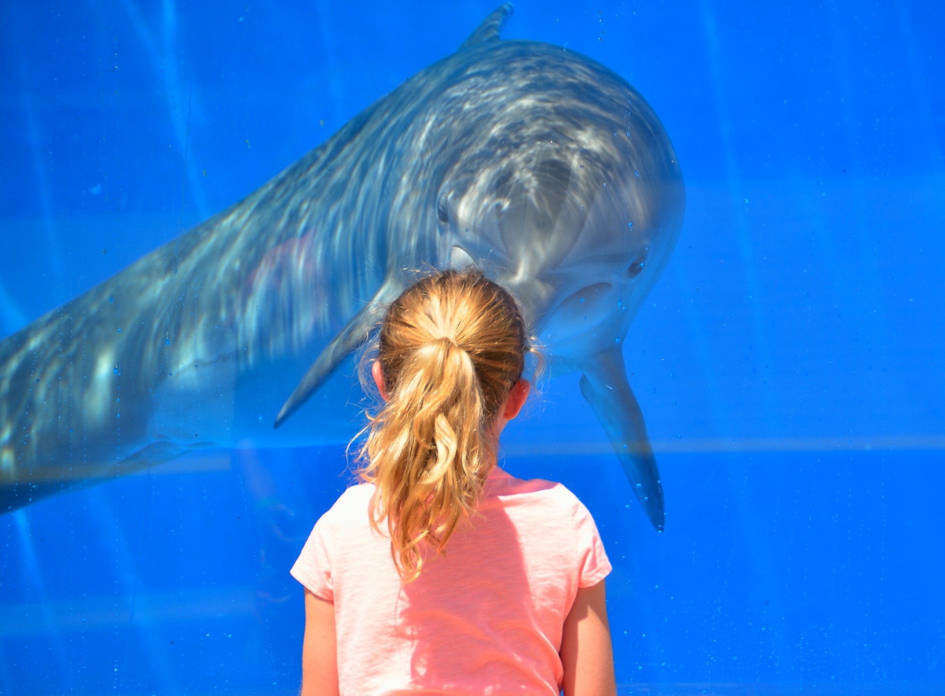 acquario di genova