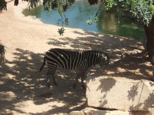 BioParc Valencia