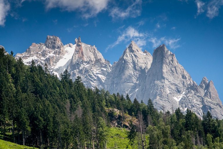 Chamonix natura