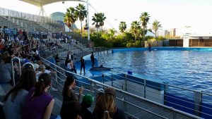 parco oceanografico Valencia