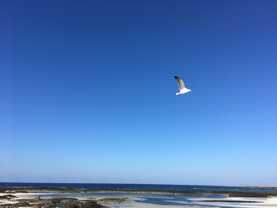 Fuerteventura