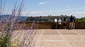 Orvieto Belvedere