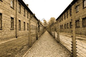 auschwitz