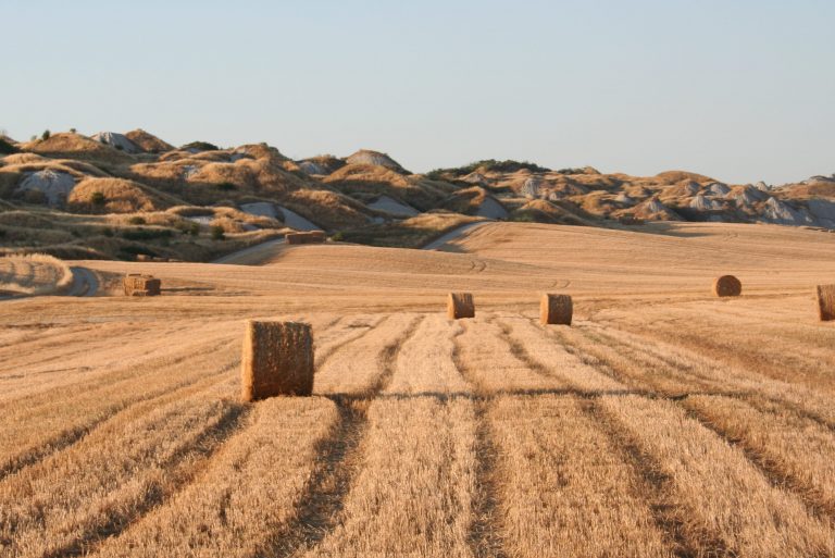 crete senesi